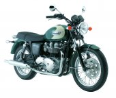 2008 Triumph Bonneville T100 photo